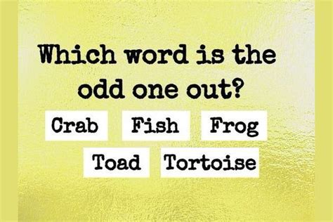 odd one tortoise crab frog fish|Teacher Quizzes .